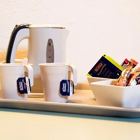 Al Nin Hotel&spa 3* 利维尼奥