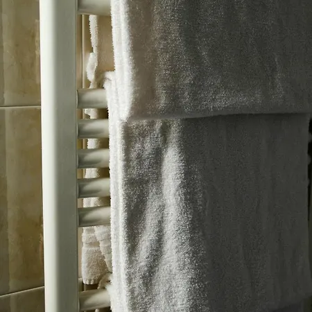 Al Nin Hotel&spa 3* 利维尼奥